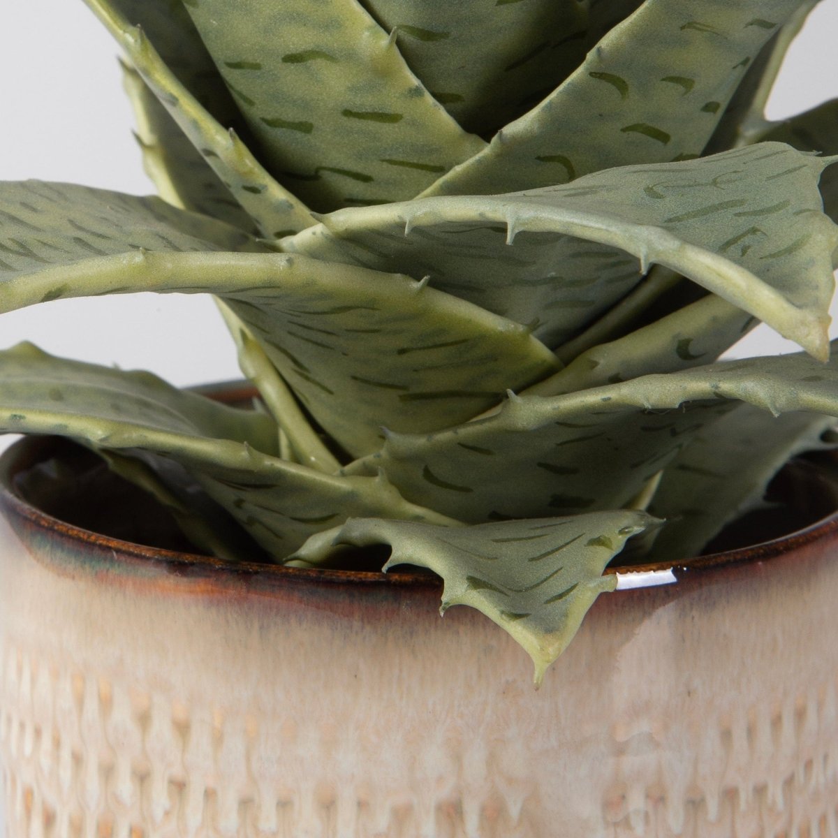 Seaside Succulents, Set/2 - Uttermost - Artificial Flora by Modest Hut