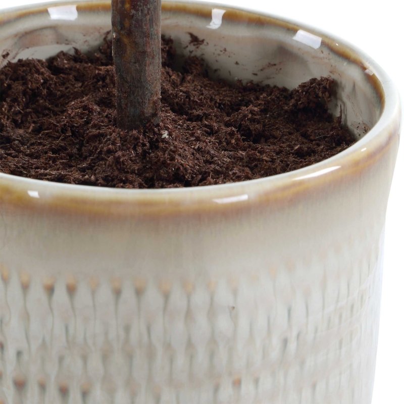 Solea Olive Accent & Textured Vase - Artificial Flora