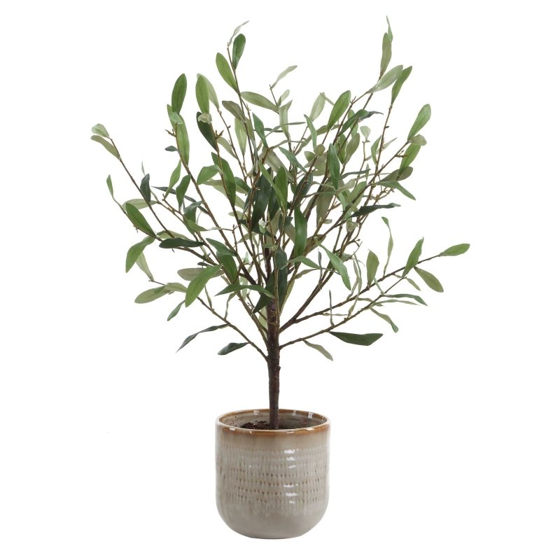Solea Olive Accent & Textured Vase - Artificial Flora