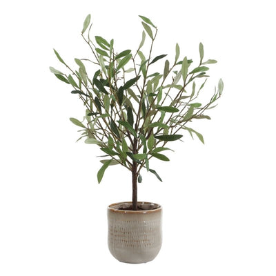Solea Olive Accent & Textured Vase - Artificial Flora