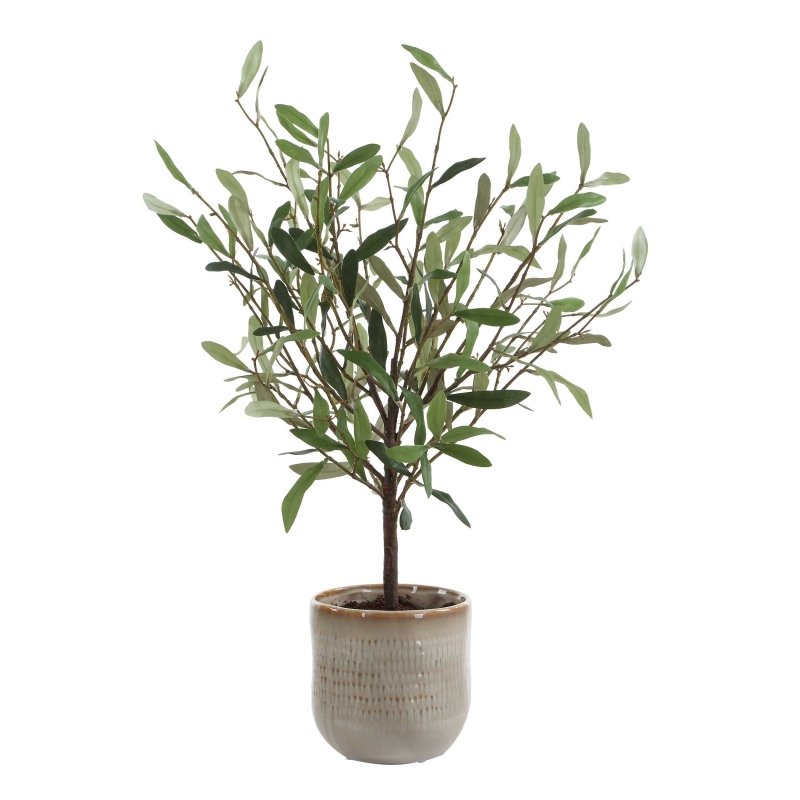 Solea Olive Accent & Textured Vase - Artificial Flora