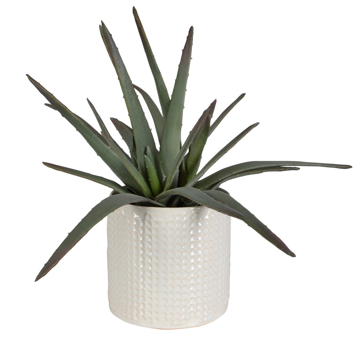 Taos Aloe Centerpiece - Uttermost - Artificial Flora by Modest Hut