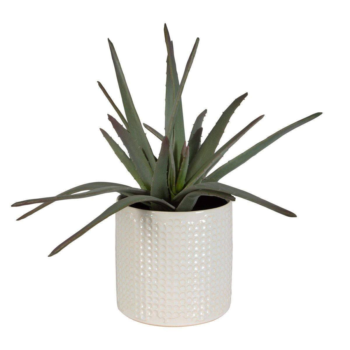 Taos Aloe Centerpiece - Uttermost - Artificial Flora by Modest Hut