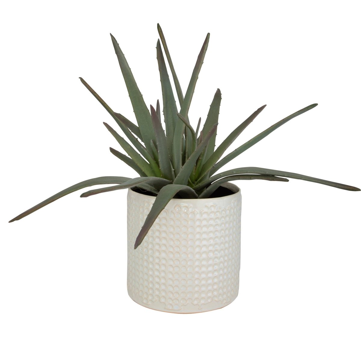 Taos Aloe Centerpiece - Uttermost - Artificial Flora by Modest Hut