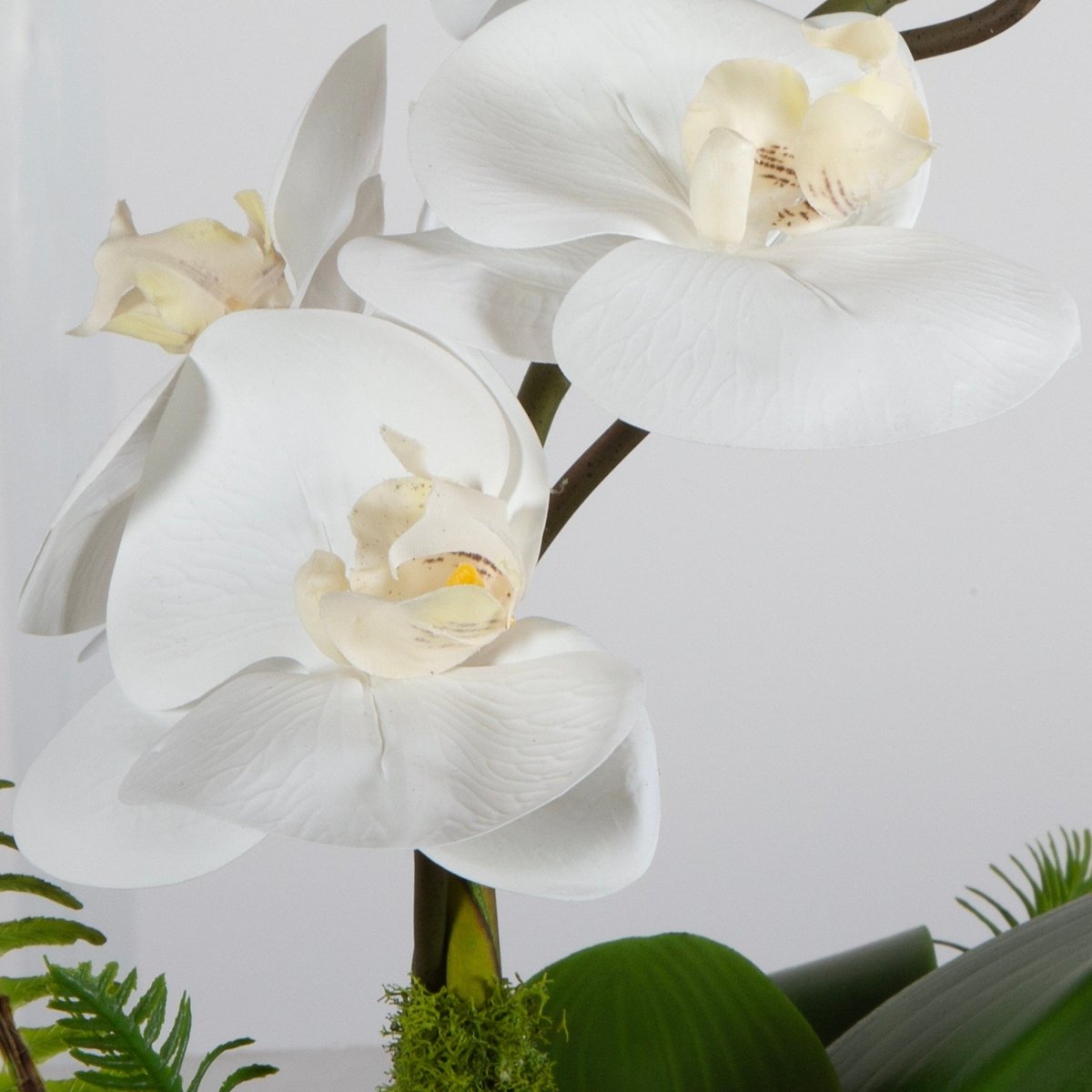 Transcend Orchid Centerpiece - Uttermost - Artificial Flora by Modest Hut