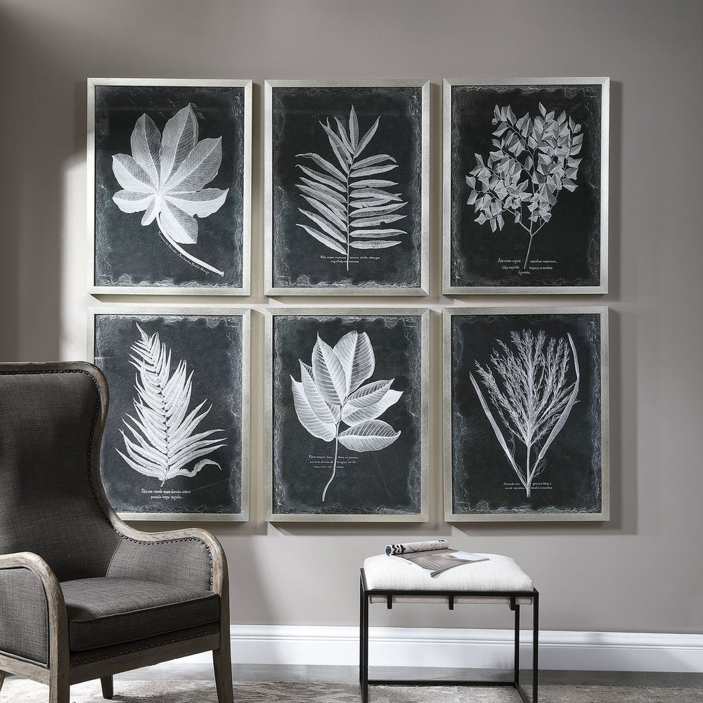 Foliage Framed Prints, Set/6