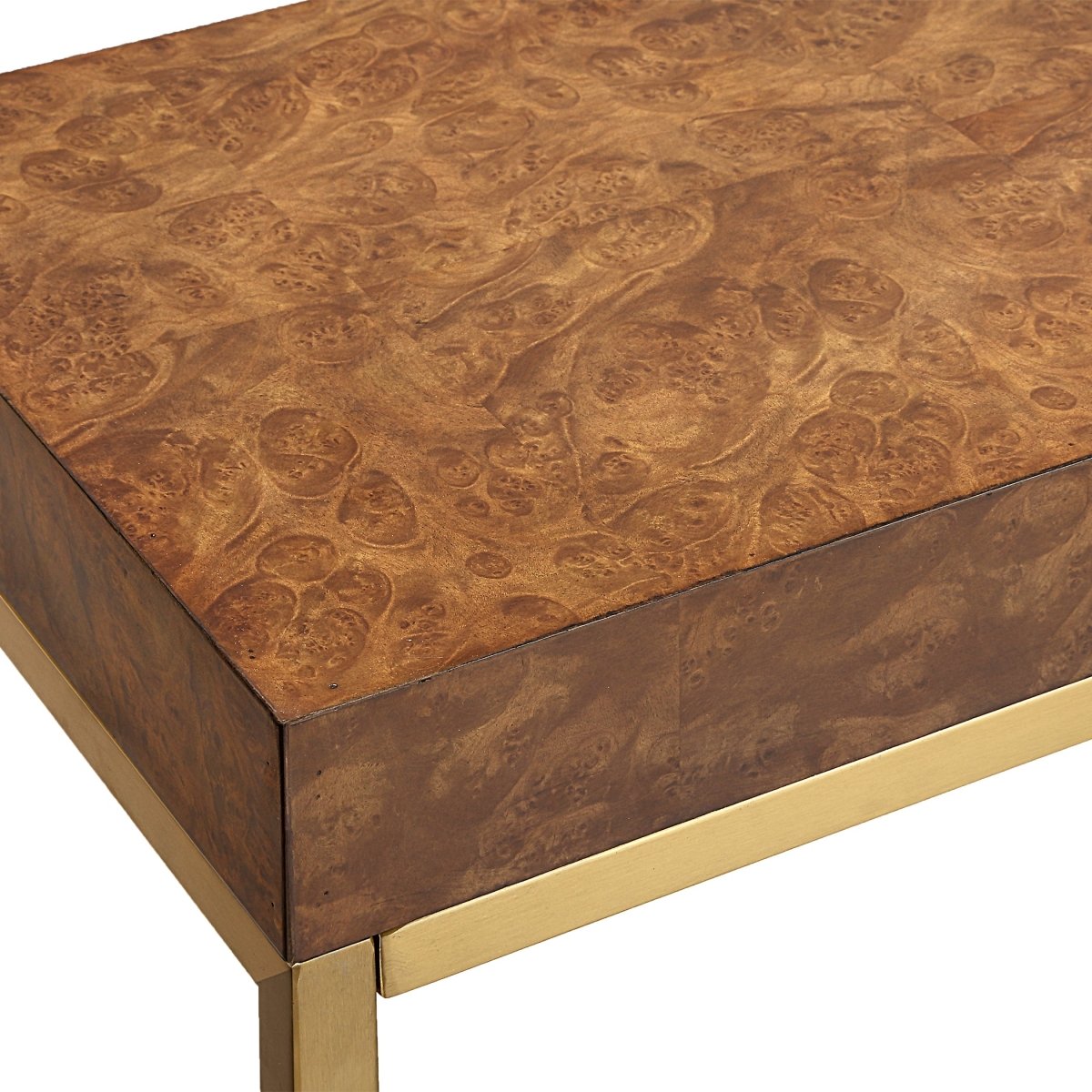 Moran Burl Console Table - Uttermost - Console Tables by Modest Hut