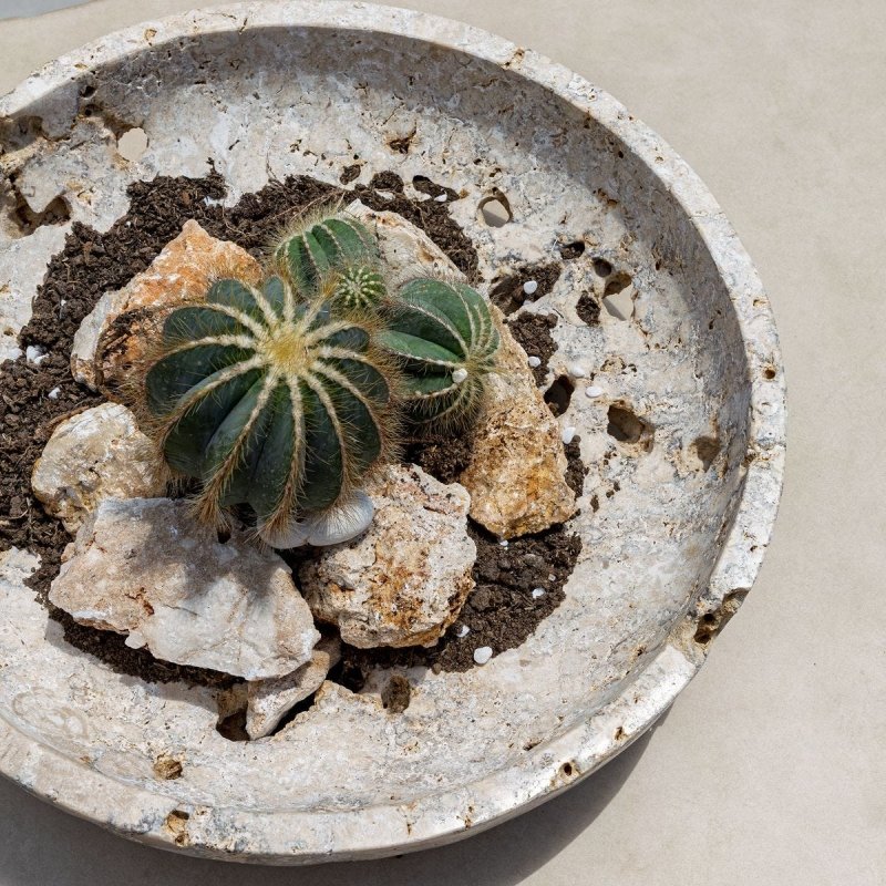 Close-up of sculptural rim on the Quarried Stone Indoor-Outdoor Decorative Bowl