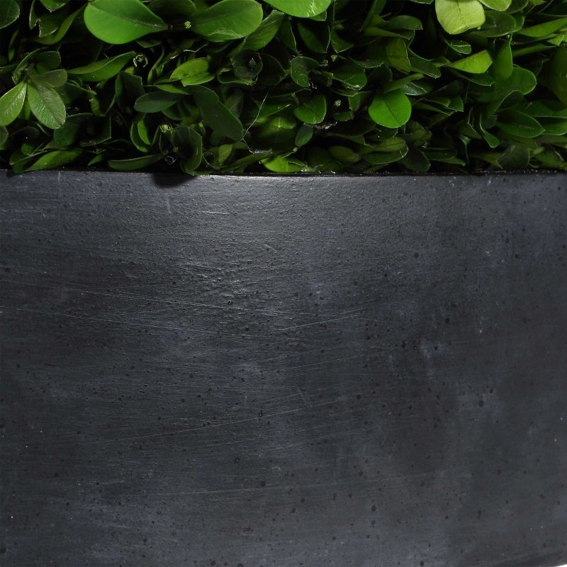 Verdana Boxwood Centerpiece In Bowl - Decorative Bowls