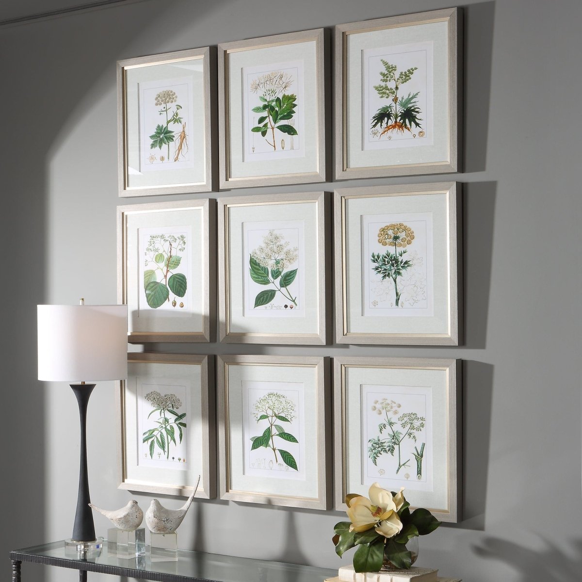 Antique Botanicals Framed Prints, S/9 - Uttermost - Framed Prints by Modest Hut