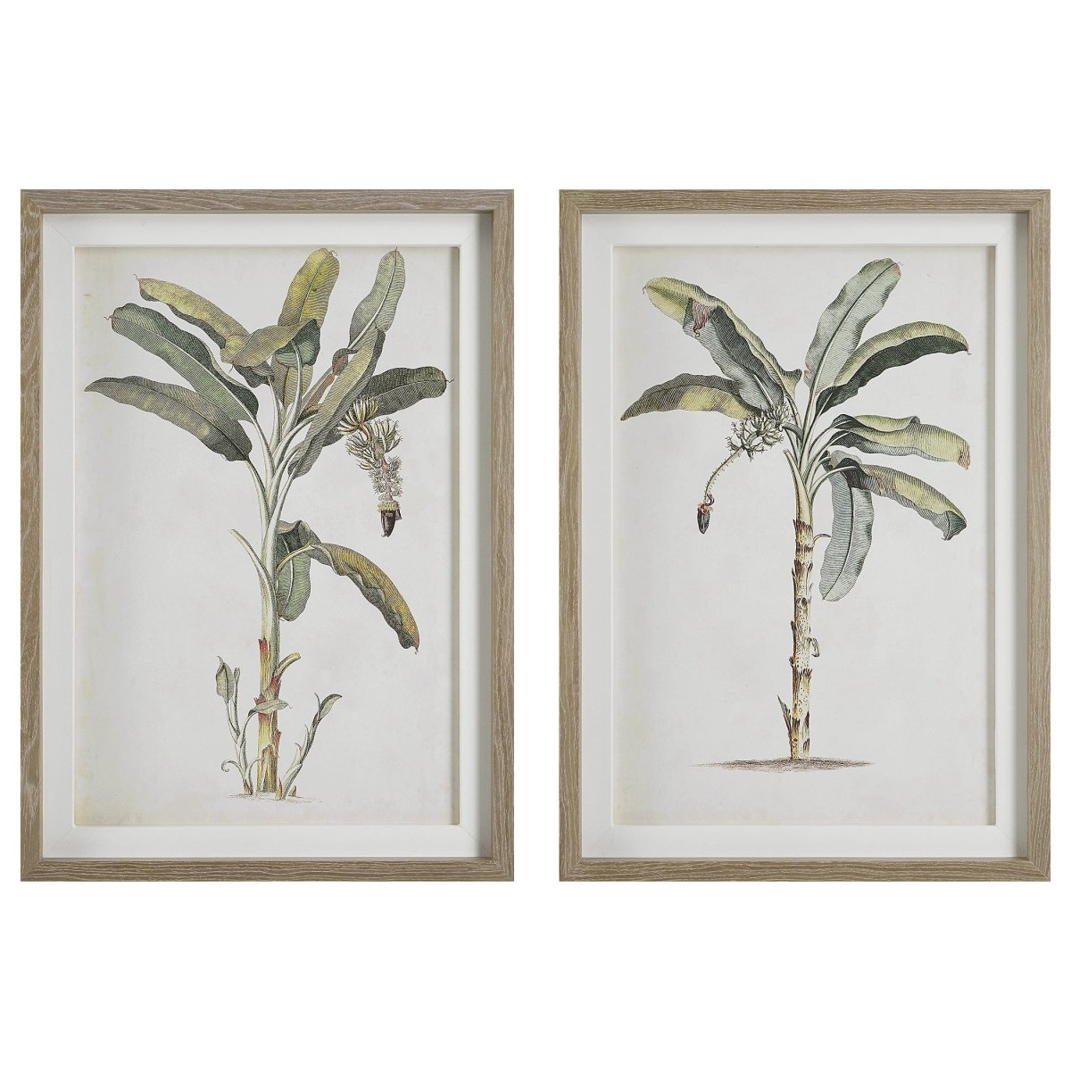 Banana Palm Framed Prints, Set/2 - Uttermost - Framed Prints by Modest Hut