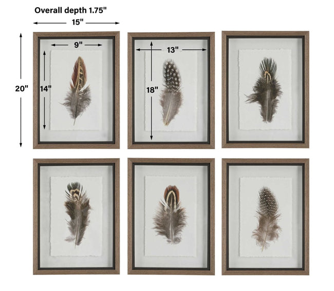 Birds of a Feather Framed Prints (S/6) - Uttermost - Framed Prints by Modest Hut