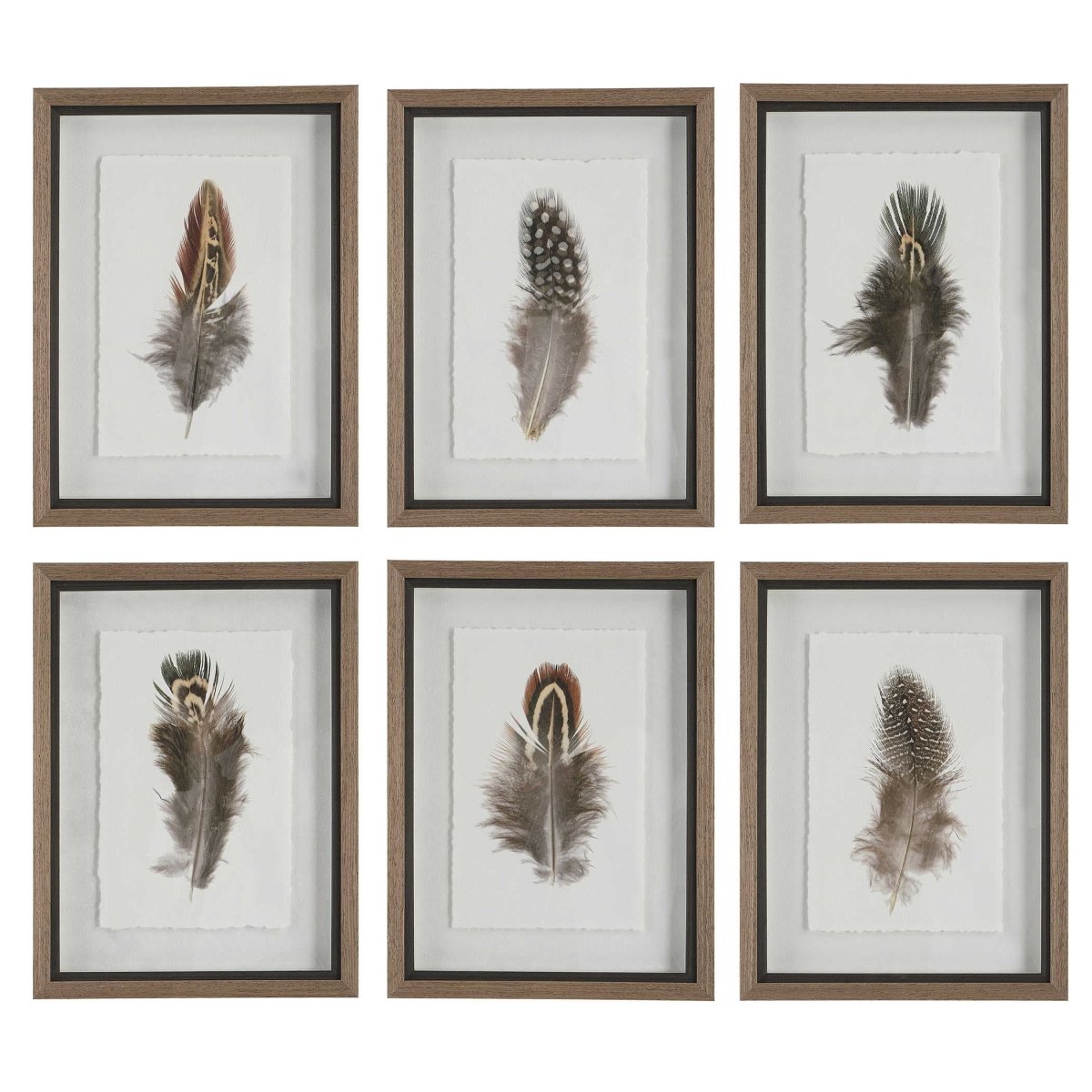 Birds of a Feather Framed Prints (S/6) - Uttermost - Framed Prints by Modest Hut