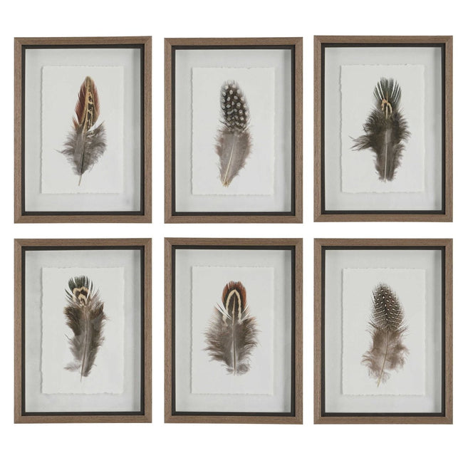 Birds of a Feather Framed Prints (S/6) - Uttermost - Framed Prints by Modest Hut