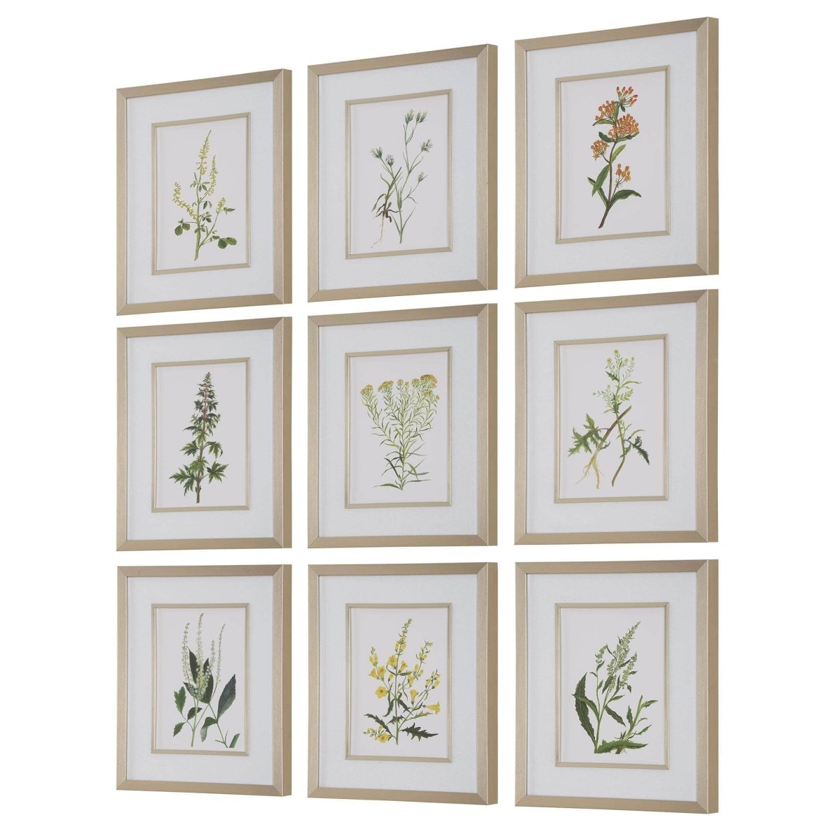 Botanical Flowers Framed Prints, S/9 - Uttermost - Framed Prints by Modest Hut