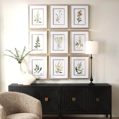 Botanical Flowers Framed Prints, S/9 - Uttermost - Framed Prints by Modest Hut