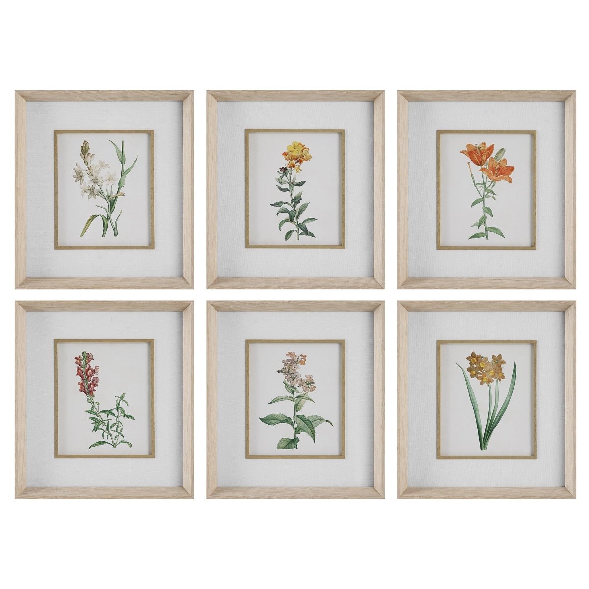 Classic Botanicals Framed Prints Set/6 - Uttermost - Framed Prints by Modest Hut