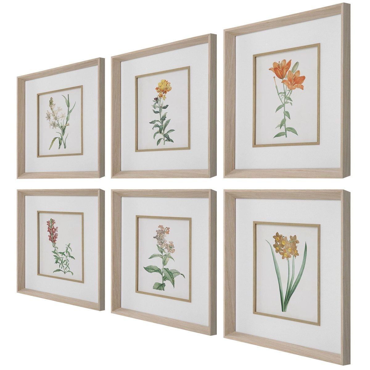 Classic Botanicals Framed Prints Set/6 - Uttermost - Framed Prints by Modest Hut