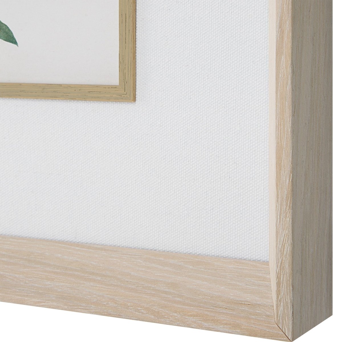 Classic Botanicals Framed Prints Set/6 - Uttermost - Framed Prints by Modest Hut