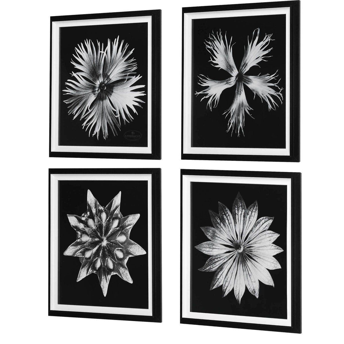 Contemporary Flower Prints (S/4) - Uttermost - Framed Prints by Modest Hut