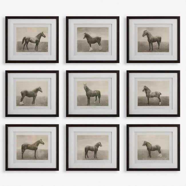 Equine Dynasty Framed Prints, S/9 - Uttermost - Framed Prints by Modest Hut