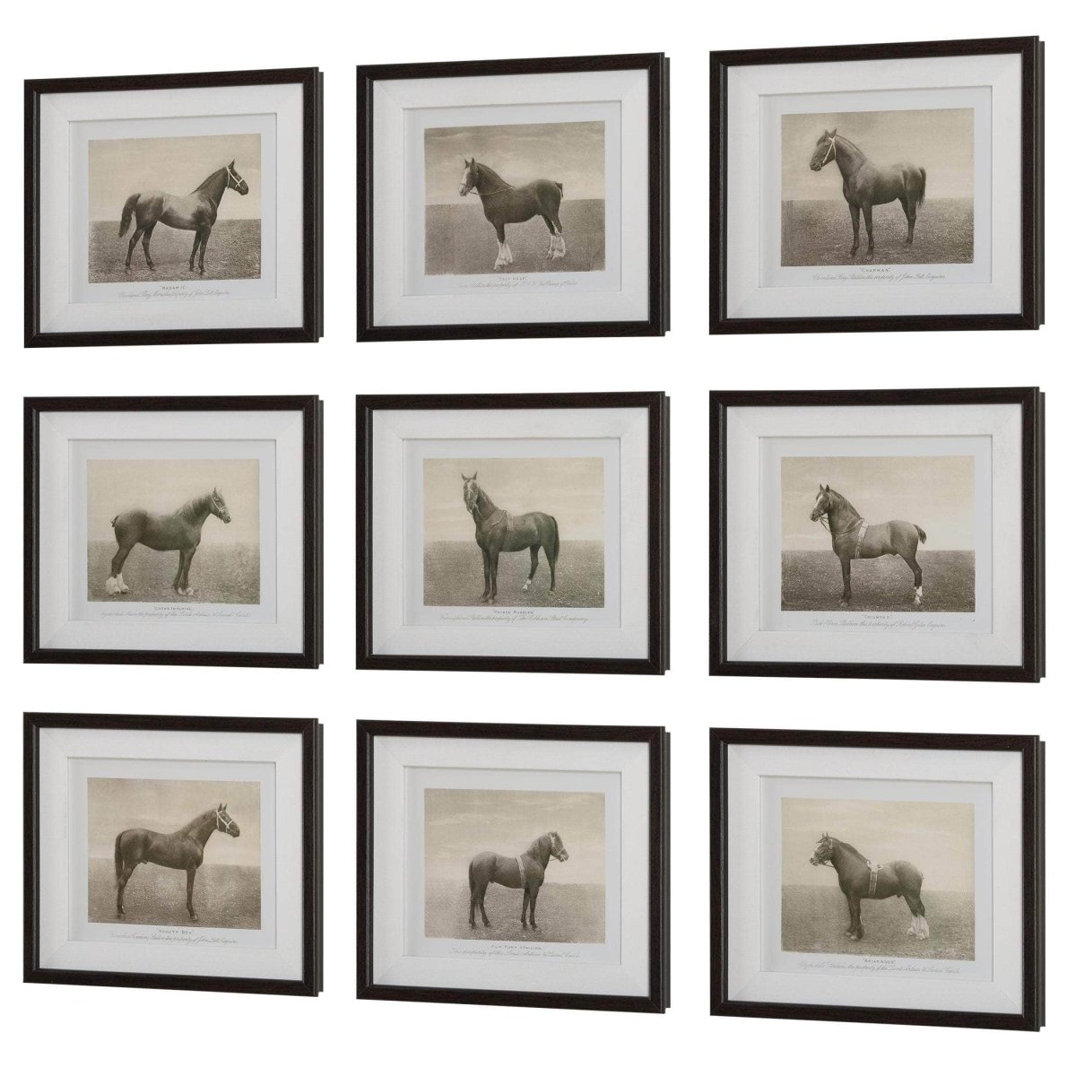 Equine Dynasty Framed Prints, S/9 - Uttermost - Framed Prints by Modest Hut