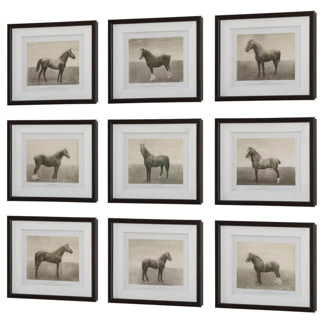 Equine Dynasty Framed Prints, S/9 - Uttermost - Framed Prints by Modest Hut