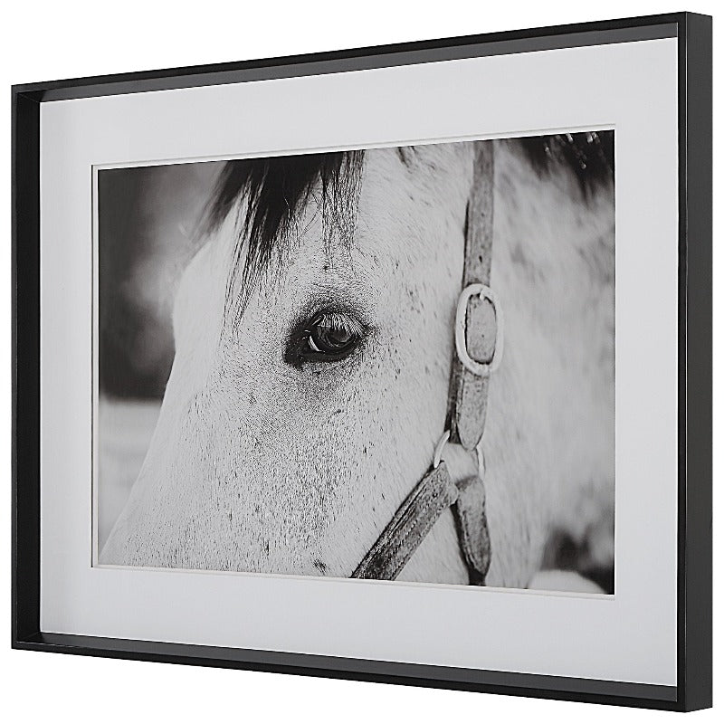 Eye Of The Beholder Framed Print - Uttermost - Framed Prints by Modest Hut