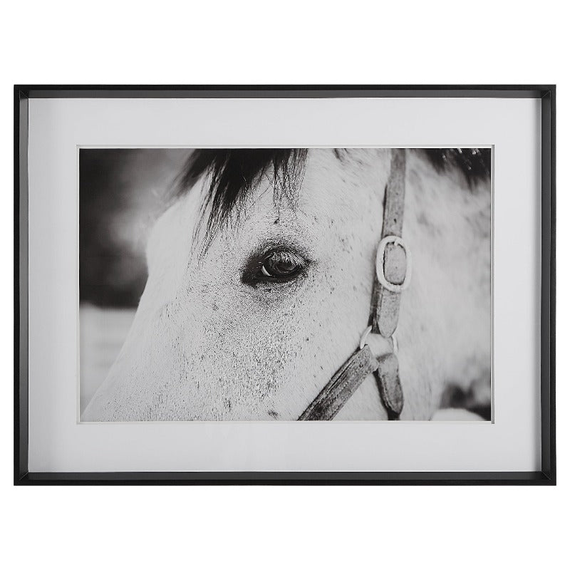 Eye Of The Beholder Framed Print - Uttermost - Framed Prints by Modest Hut