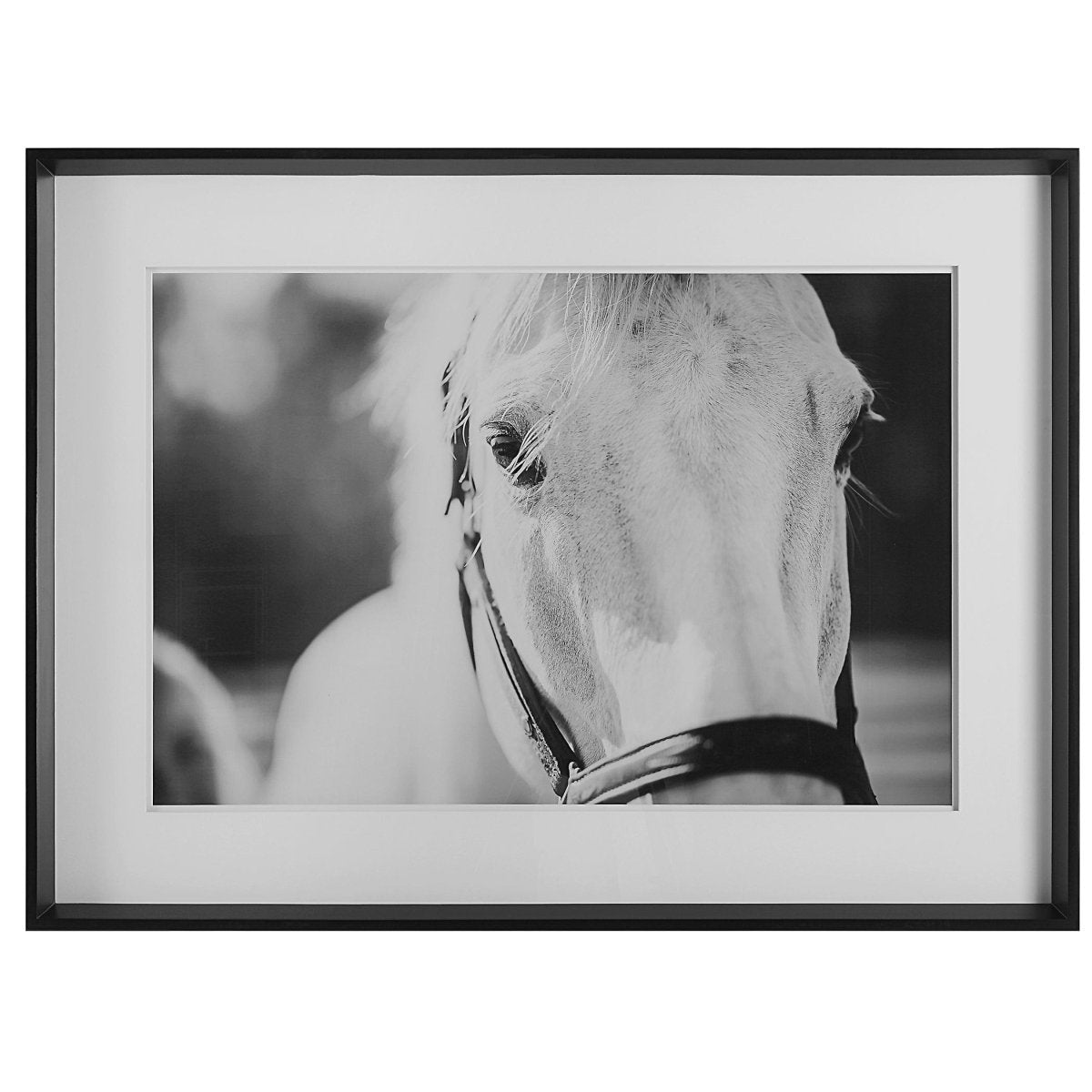 Eyes On The Prize Framed Print - Uttermost - Framed Prints by Modest Hut