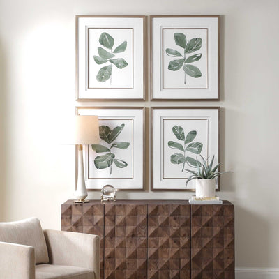 Fiddle Head Leaf Botanical Prints Set/4 - Uttermost - Framed Prints by Modest Hut