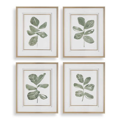Fiddle Head Leaf Botanical Prints Set/4 - Uttermost - Framed Prints by Modest Hut
