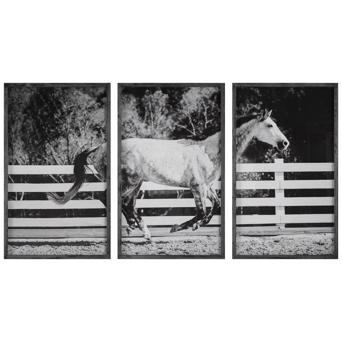 Galloping Forward Equine Prints, Set/3 - Uttermost - Framed Prints by Modest Hut