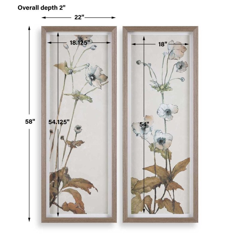 Dimension guide for the Garden Study Blue Floral Framed Prints S/2 framed print
