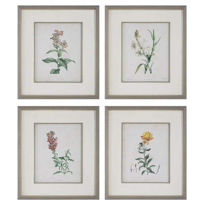 Heirloom Blooms Study Framed Prints Set/4 - Uttermost - Framed Prints by Modest Hut