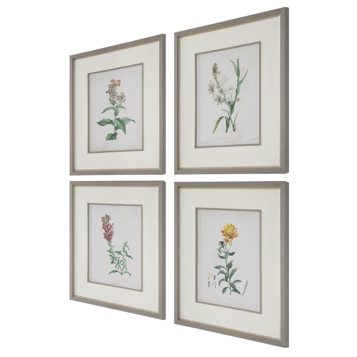 Heirloom Blooms Study Framed Prints Set/4 - Uttermost - Framed Prints by Modest Hut