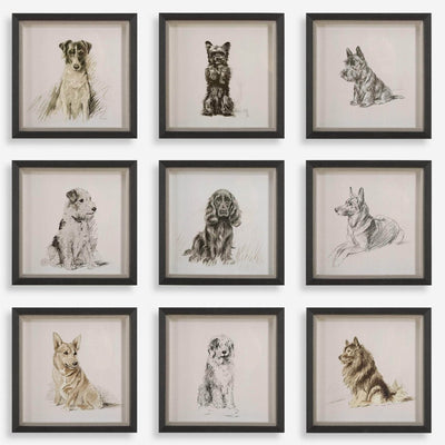 Loyal Companion Framed Dog Prints, S/9 - Uttermost - Framed Prints by Modest Hut