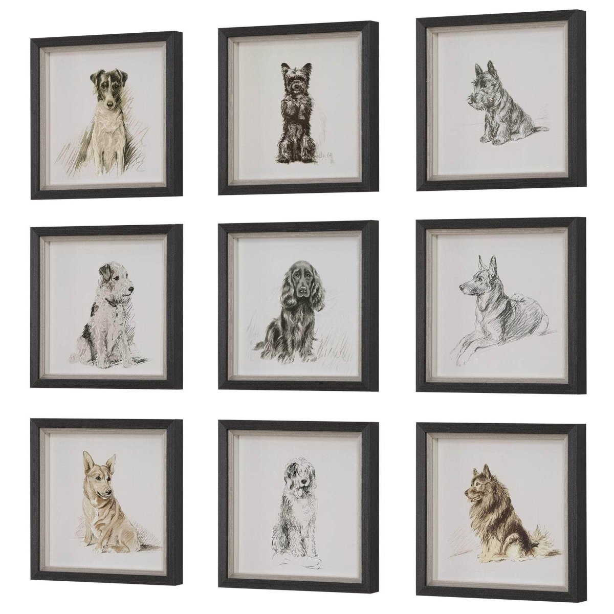 Loyal Companion Framed Dog Prints, S/9 - Uttermost - Framed Prints by Modest Hut