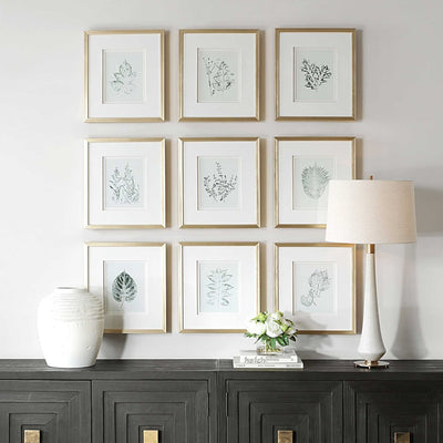 Nature's Script Framed Botanical Prints Set/9 - Uttermost - Framed Prints by Modest Hut