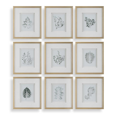 Nature's Script Framed Botanical Prints Set/9 - Uttermost - Framed Prints by Modest Hut