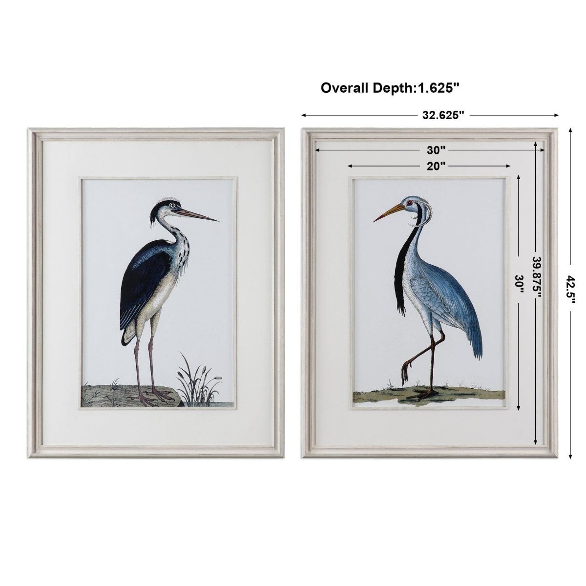Shore Birds Framed Prints S/2 - Uttermost - Framed Prints by Modest Hut