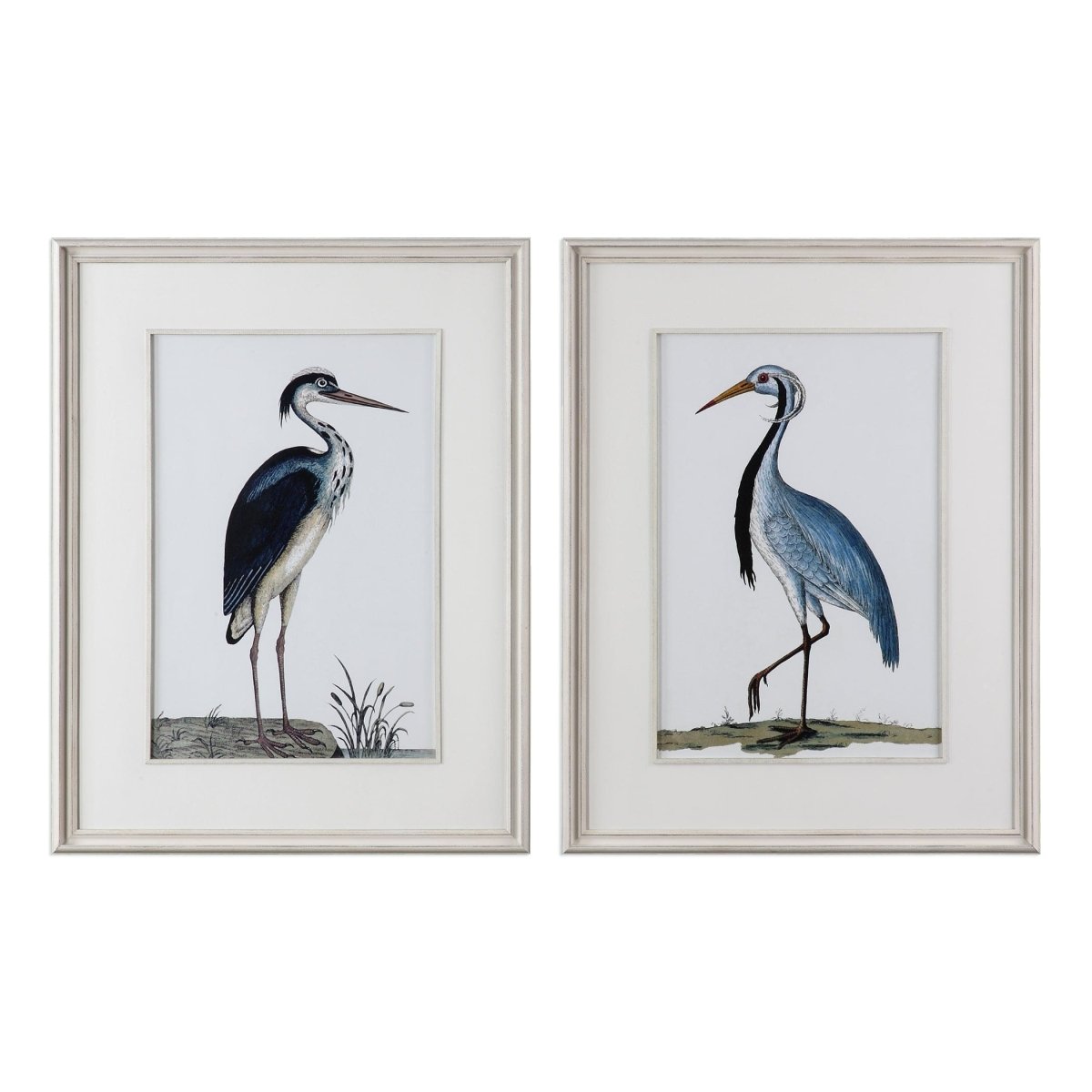 Shore Birds Framed Prints S/2 - Uttermost - Framed Prints by Modest Hut