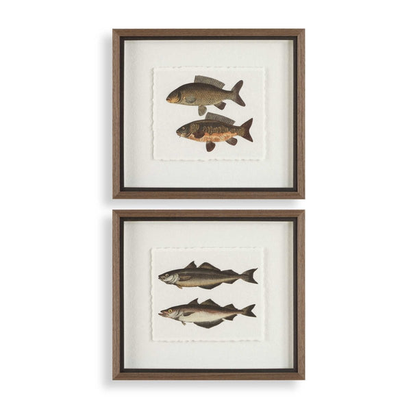 The Catch Framed Fish Prints Set/2 - Uttermost - Framed Prints by Modest Hut
