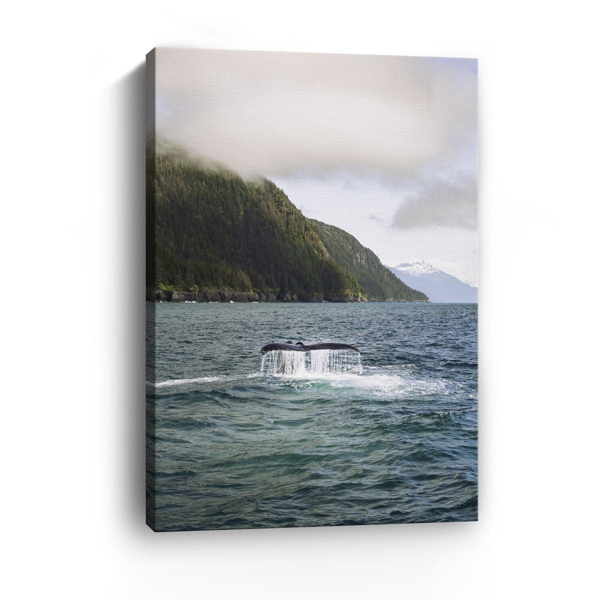 Humpback in Valdez Canvas Wall Art - Lumaprints - Gallery Canvas by Modest Hut