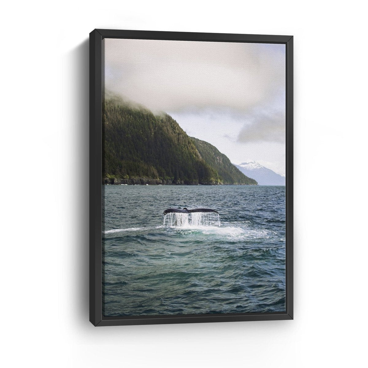 Humpback in Valdez Canvas Wall Art - Lumaprints - Gallery Canvas by Modest Hut