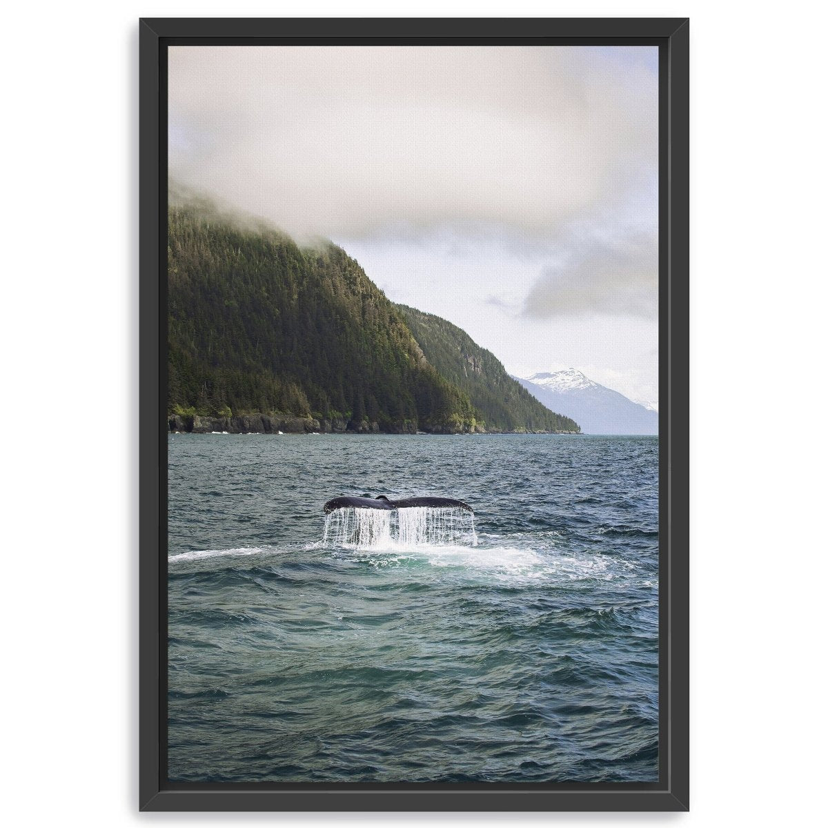 Humpback in Valdez Canvas Wall Art - Lumaprints - Gallery Canvas by Modest Hut