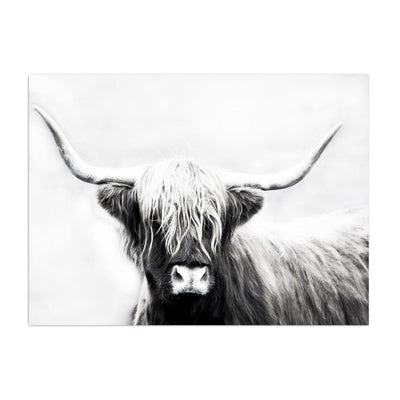 Monochrome Longhorn Canvas Wall Art - Lumaprints - Gallery Canvas by Modest Hut