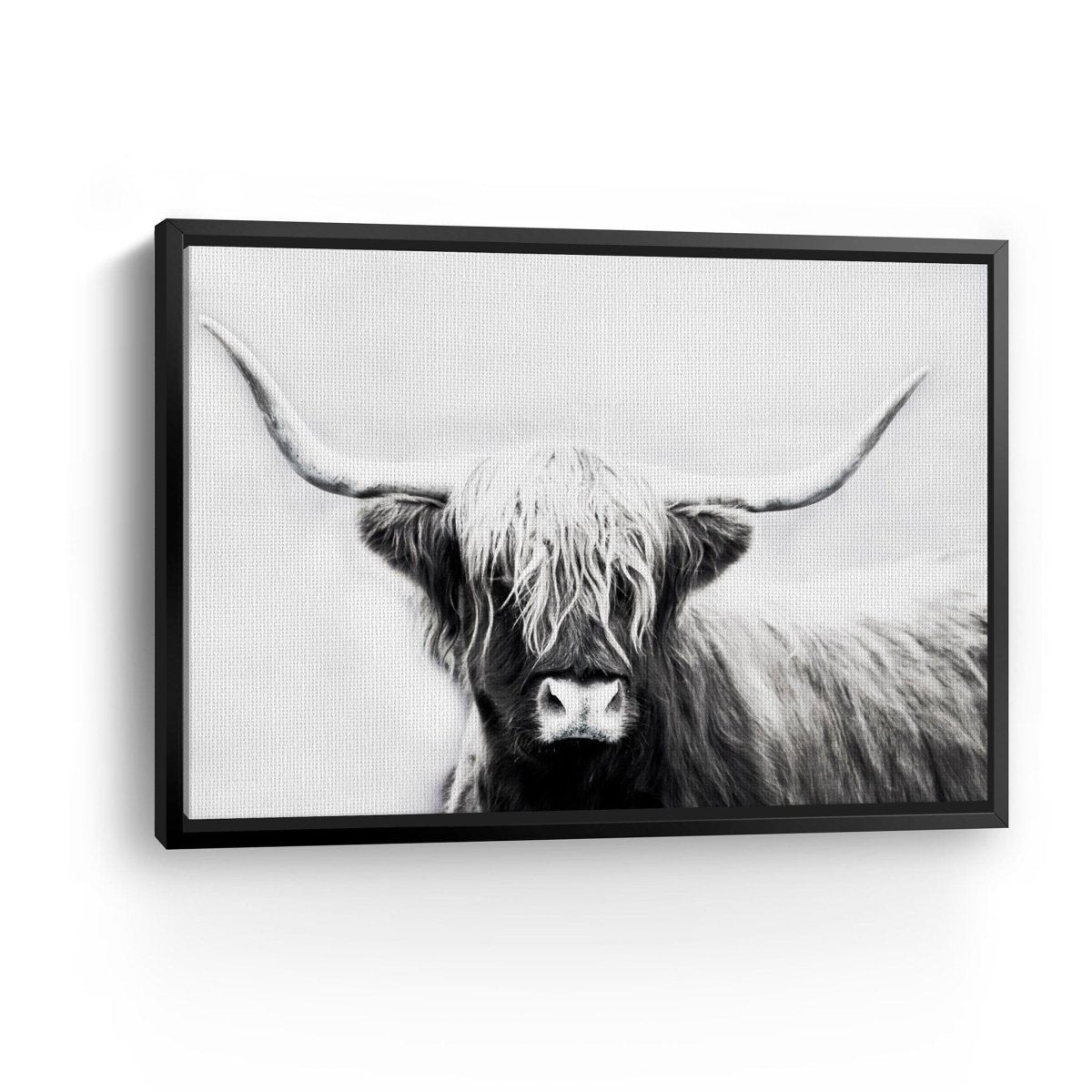 Monochrome Longhorn Canvas Wall Art - Lumaprints - Gallery Canvas by Modest Hut