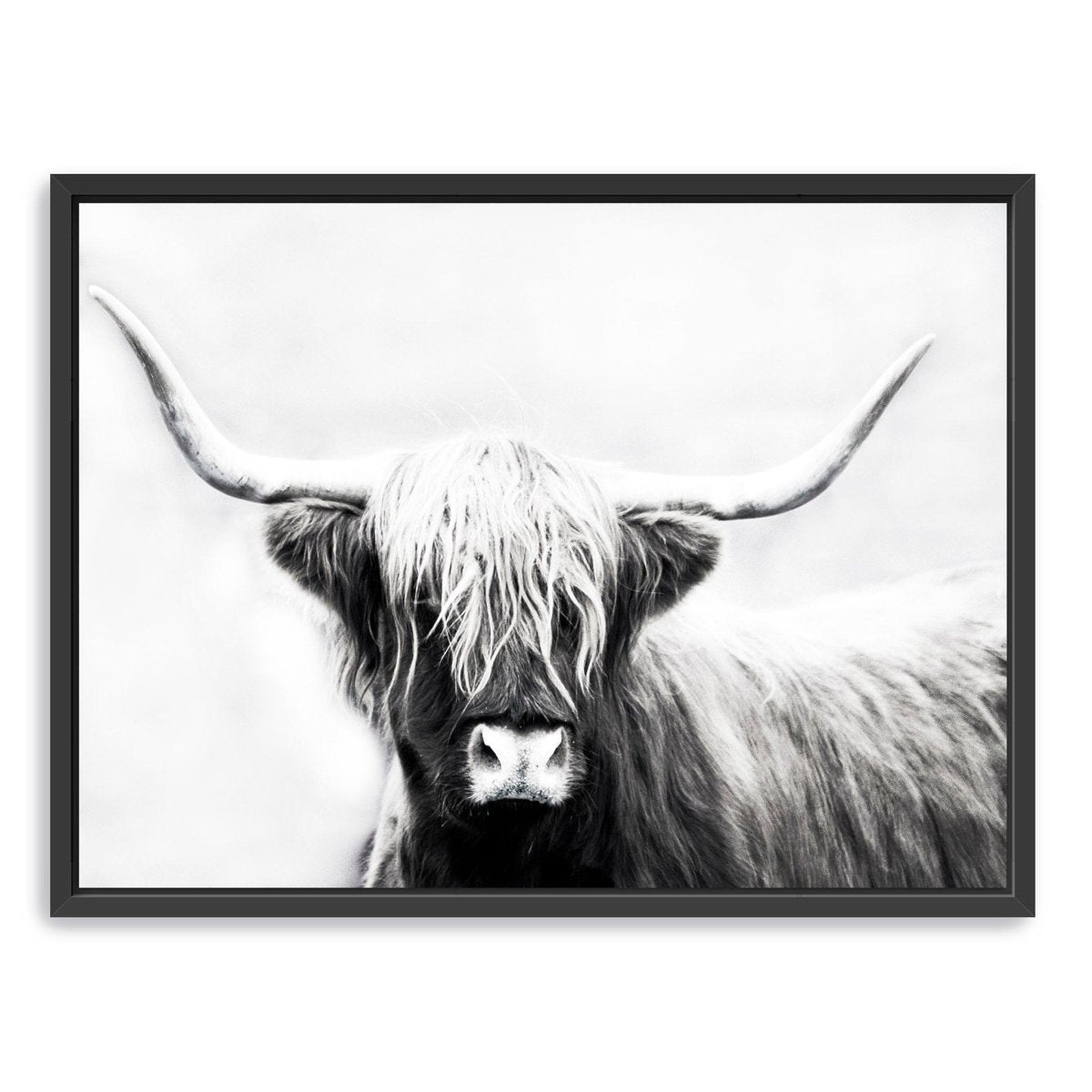 Monochrome Longhorn Canvas Wall Art - Lumaprints - Gallery Canvas by Modest Hut