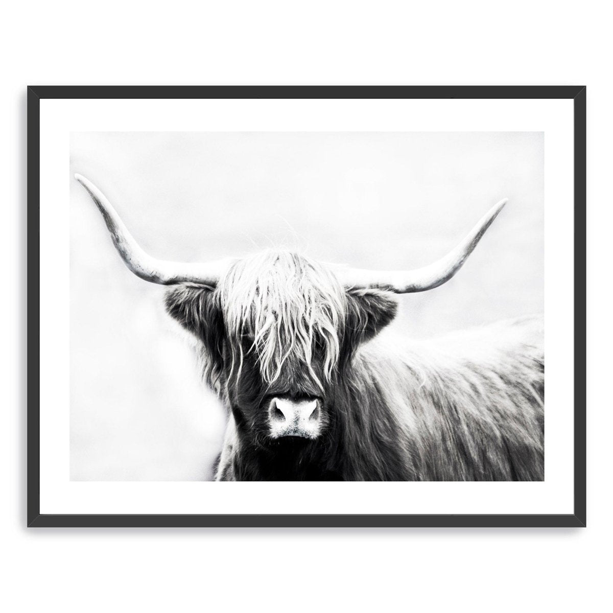 Monochrome Longhorn Canvas Wall Art - Lumaprints - Gallery Canvas by Modest Hut